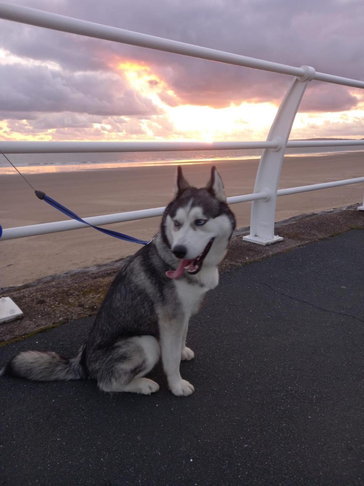 Driftmark Beachfront Location Aberavon Beach Sea Views Large Driveway Parking Private Site Fibre Optic Wi Fi Порт-Толбот Экстерьер фото